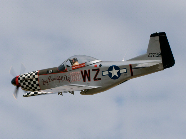 t51_mustang.jpg